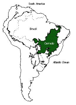 cerrado.JPG